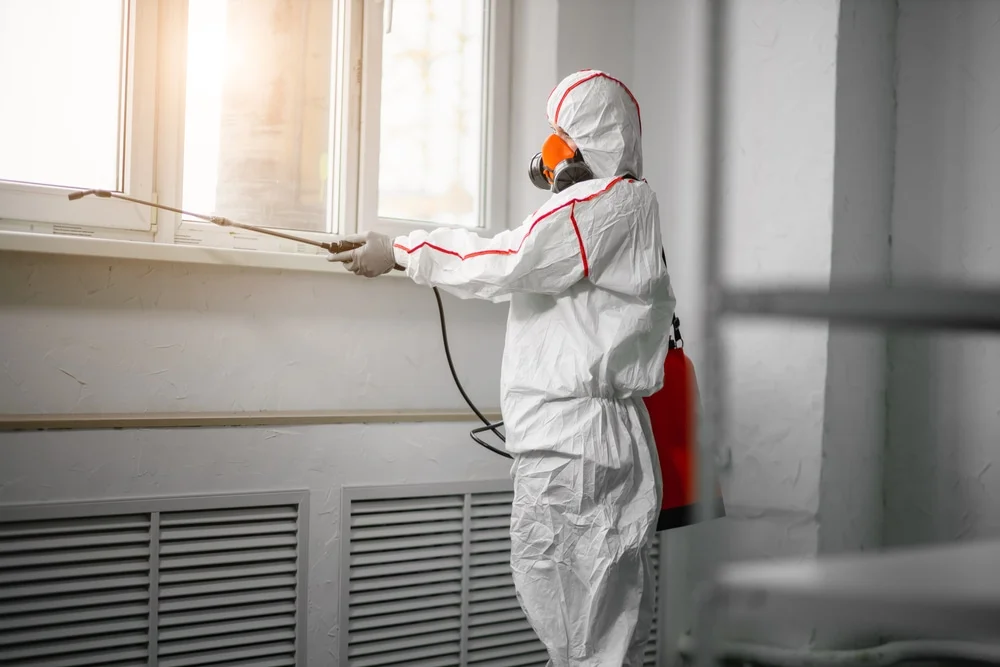 Professional mold remediation services in Sparks Glencoe, MD